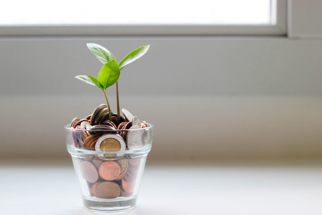 green plant in clear glass cup renotravaux